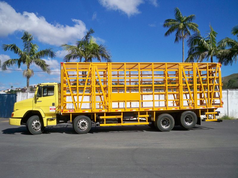 Caminhão  Carros e caminhões, Caminhões tunados, Caminhão arqueado